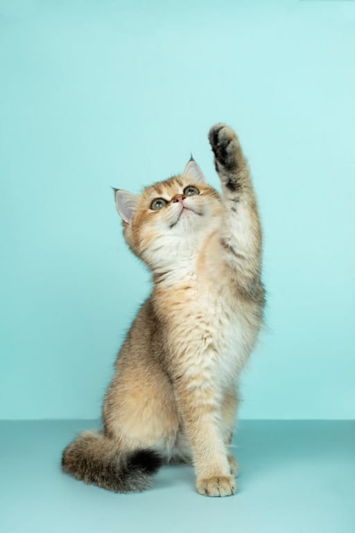 https://unsplash.com/photos/ZCHj\_2lJP00